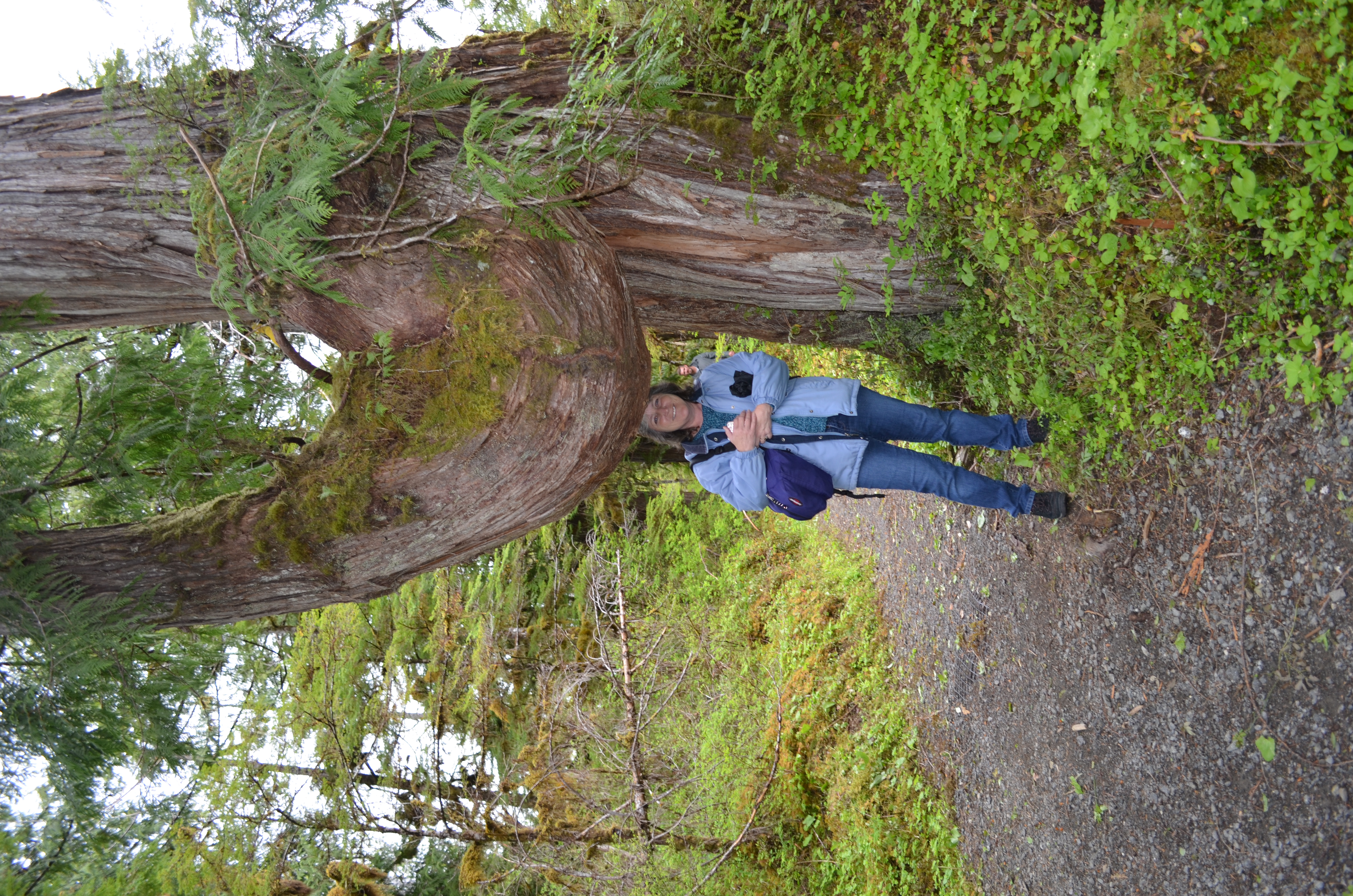 ./2017/08 - Alaska Cruise/11 - Ketchikan/DSC_0523.JPG